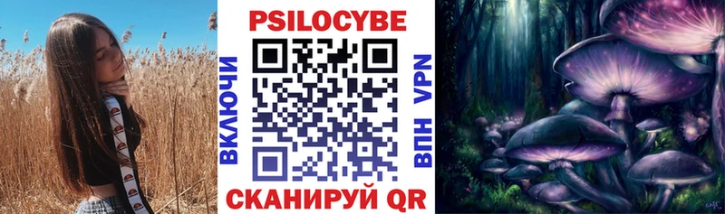 Псилоцибиновые грибы Cubensis  Купить  Киселёвск 