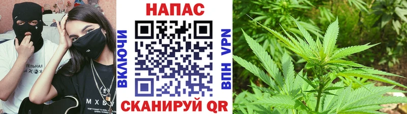 Конопля гибрид  Купить где  Киселёвск 